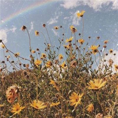 三亿体育手机app下载